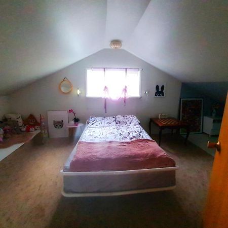 Holkot Scenic Farm Villa Husavik Ngoại thất bức ảnh