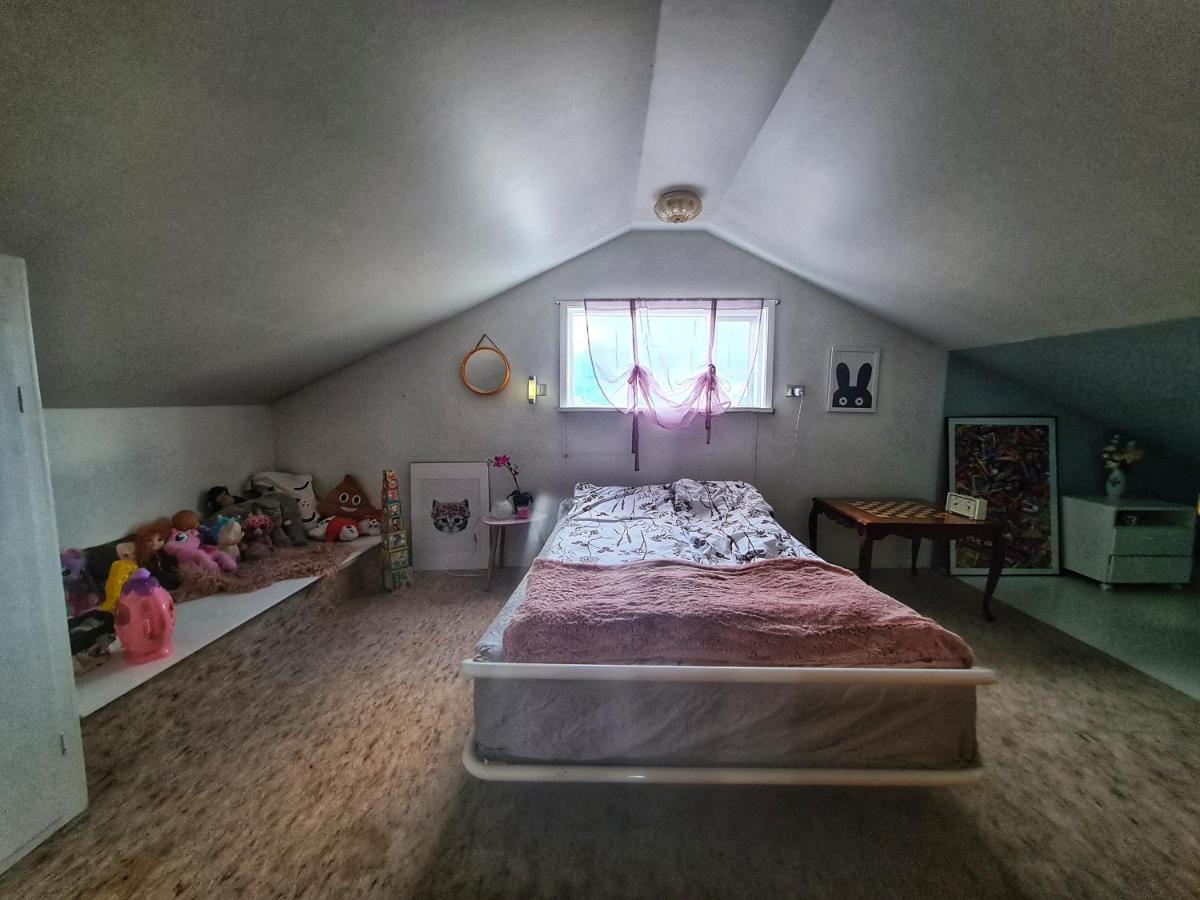 Holkot Scenic Farm Villa Husavik Ngoại thất bức ảnh